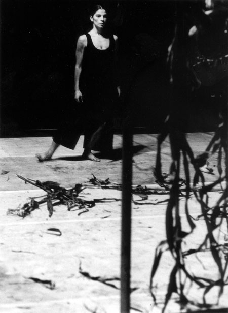 hinten.jpg, 18.03.2004, 41 kB