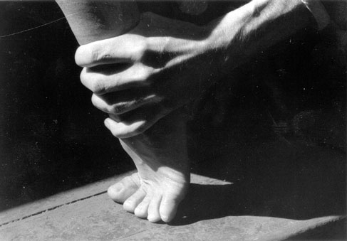 insprinc.jpg, 18.03.2004, 26 kB