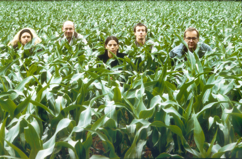 mais01.jpg, 18.03.2004, 156 kB