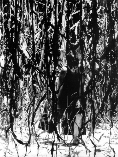 maisfeld.jpg, 18.03.2004, 101 kB