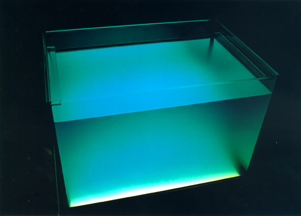 2blau.jpg, 19.03.2004, 23 kB