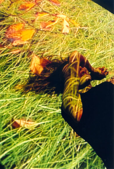 2wiese01.jpg, 19.03.2004, 78 kB